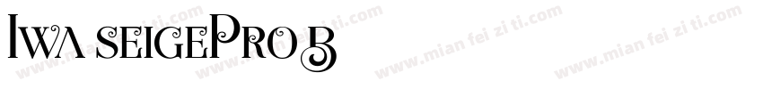 Iwa seigePro B字体转换